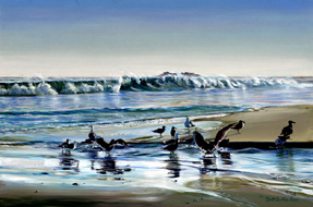 Birds On Main Beach